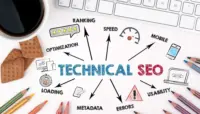 Hướng Dẫn kiểm tra seo kỹ thuật cho Website của bạn